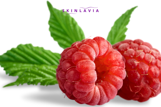 The Power of Antioxidants for Skin Health